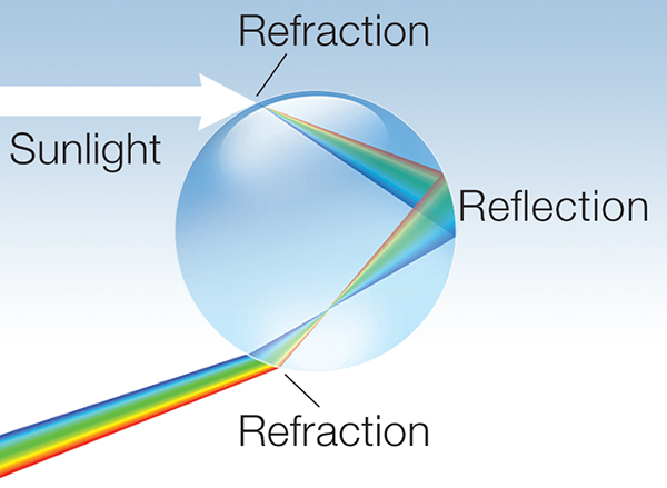 Ray diagram showing how sunlight is refracted and reflected in a raindrop